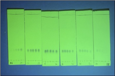 v103p0236-6.jpg