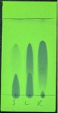 v103p0269-6.jpg