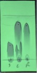 v103p0269-7.jpg
