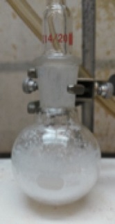 v95p0015-3.jpg