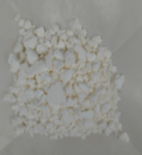 v95p0015-6.jpg