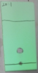 v95p0015-7.jpg