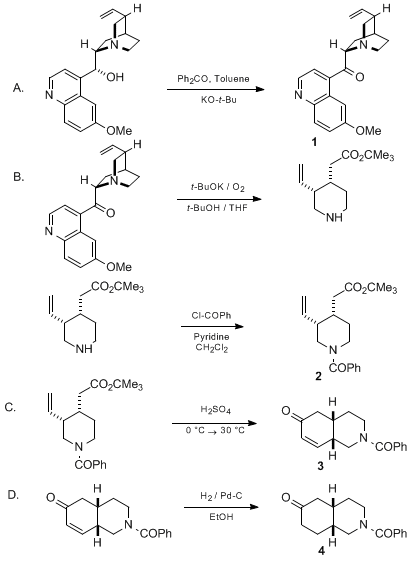  - V75P0223