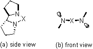 Figure 2: Stair-like structure of two pyrrolidine rings.