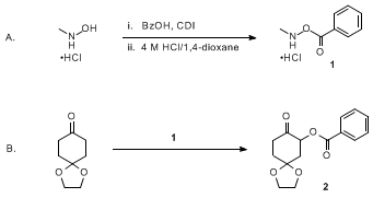 Organic Syntheses Procedure