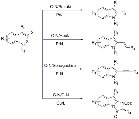 Scheme 1. Utility of gem-dibromovinylanilines