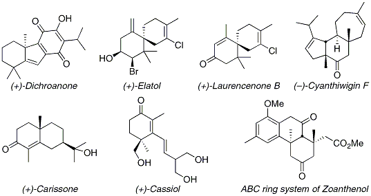 Table 2. Synthetic targets accessed via enantioselective decarboxylative allylation.