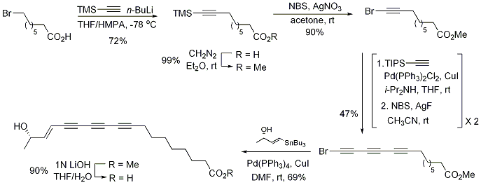 Scheme 2. Total synthesis of (S)-(E)-15,16-dihydrominquartynoic acid.