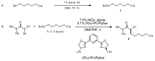 Organic Syntheses Procedure