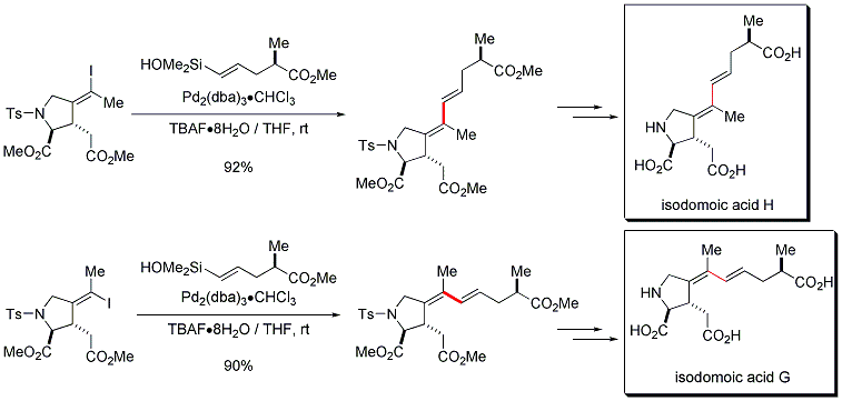 Figure 3. Fluoride-promoted intermolecular alkenyl-alkenyl cross-coupling for the syntheses of isodomoic acids G and H.