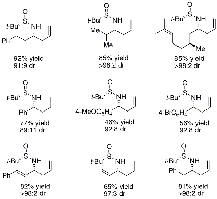 Table 1. Other homoallylic amine derivatives prepared using this protocol