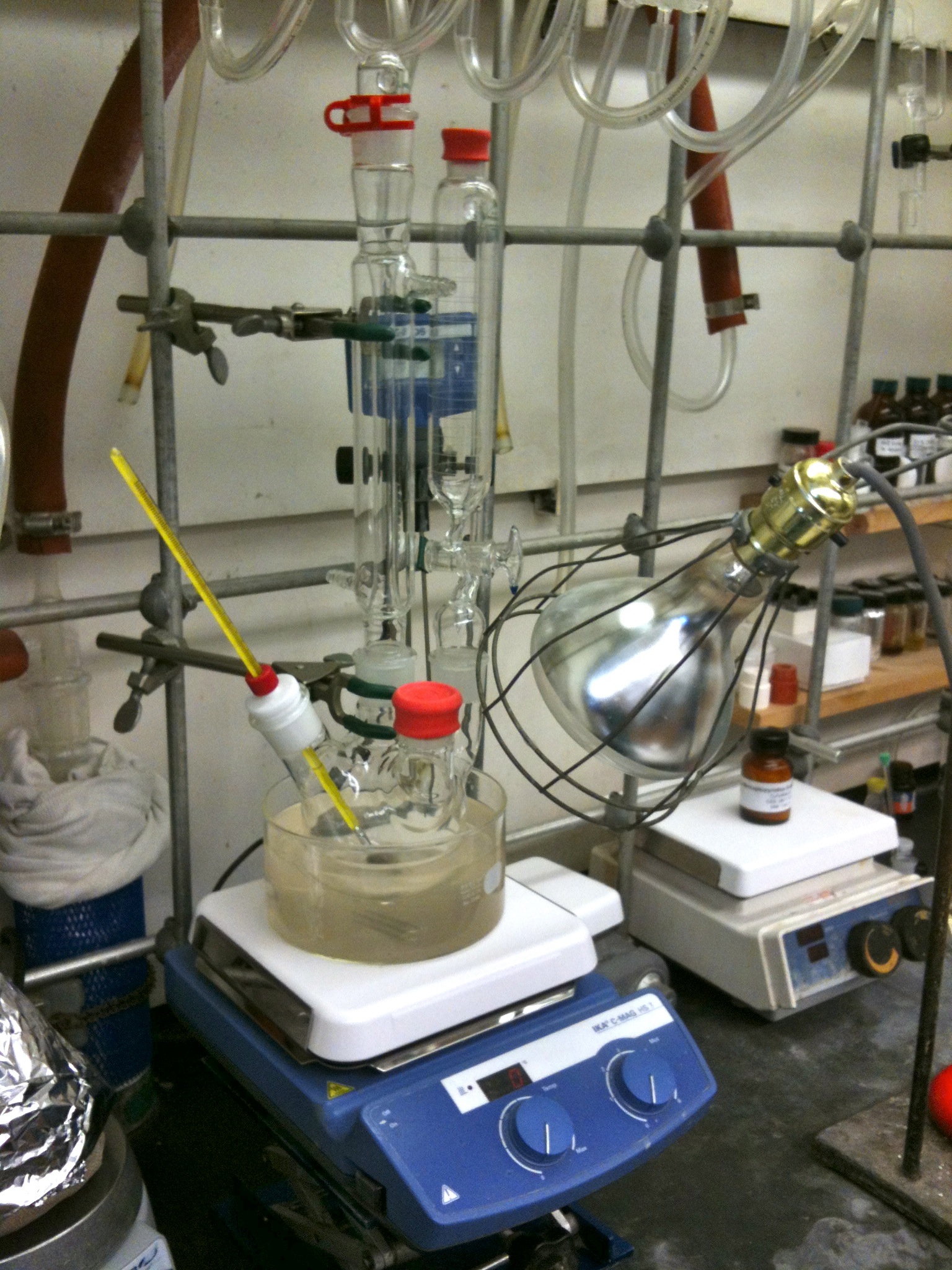 Figure 1. Experimental set-up used in the reaction