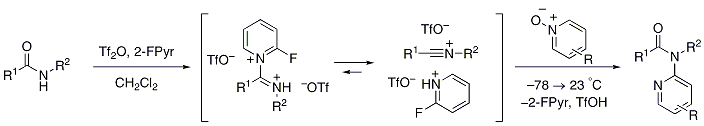 Scheme 4 Plausible Mechanism for N-Pyridylation of Amides