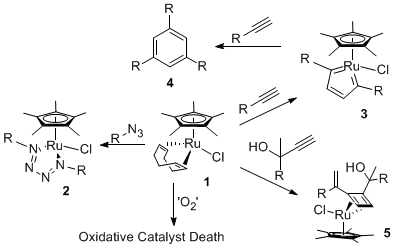 Scheme 2. Catalyst deactivation pathways in CuAAC.