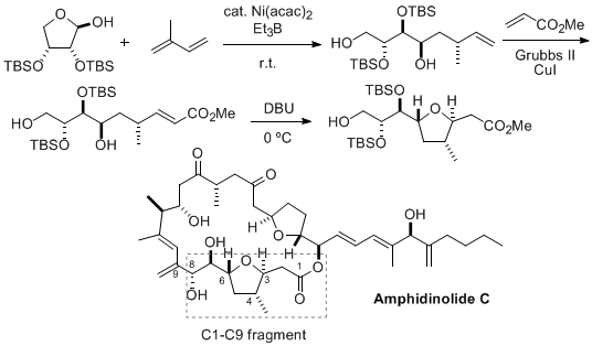 Figure 3. Formal Synthesis of C1-C9 Fragment of Amphidinolide C