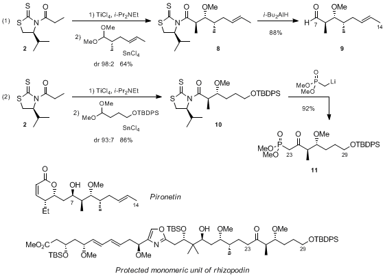 Scheme 4. Total syntheses of pironetin and a monomeric unit of rhizopodin