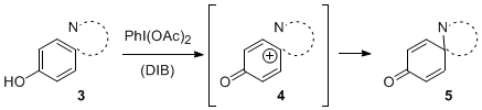 Figure 1. The Oxidative Amidation of Phenols
