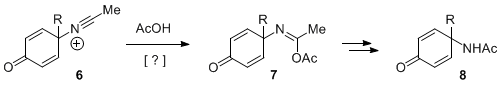 Figure 2. Possible Mechanism of the Bimolecular Oxidative Amidation of Phenols