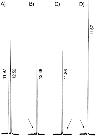 Figure 1. Gas chromatograms for the determination of the enantiomeric purity of the derivatives of 2-methylproline  and : A) (R)- and (S)-2-methylproline; B) (S)-2-methylproline; (C) (R)-2-methylproline; D) 1% (R)- in (S)-2-methylproline.