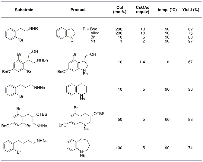 Table 2. Scope of the intramolecular aryl amination.