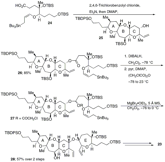 Scheme 3. Kadota's Second Generation Strategy to Brevenal.