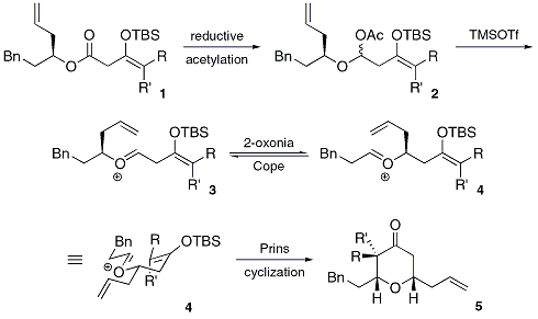 Figure 5. 2-Oxonia Cope-Prins Cyclization.