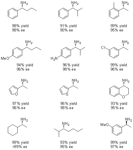 Table 1. Other primary amines prepared by this procedure