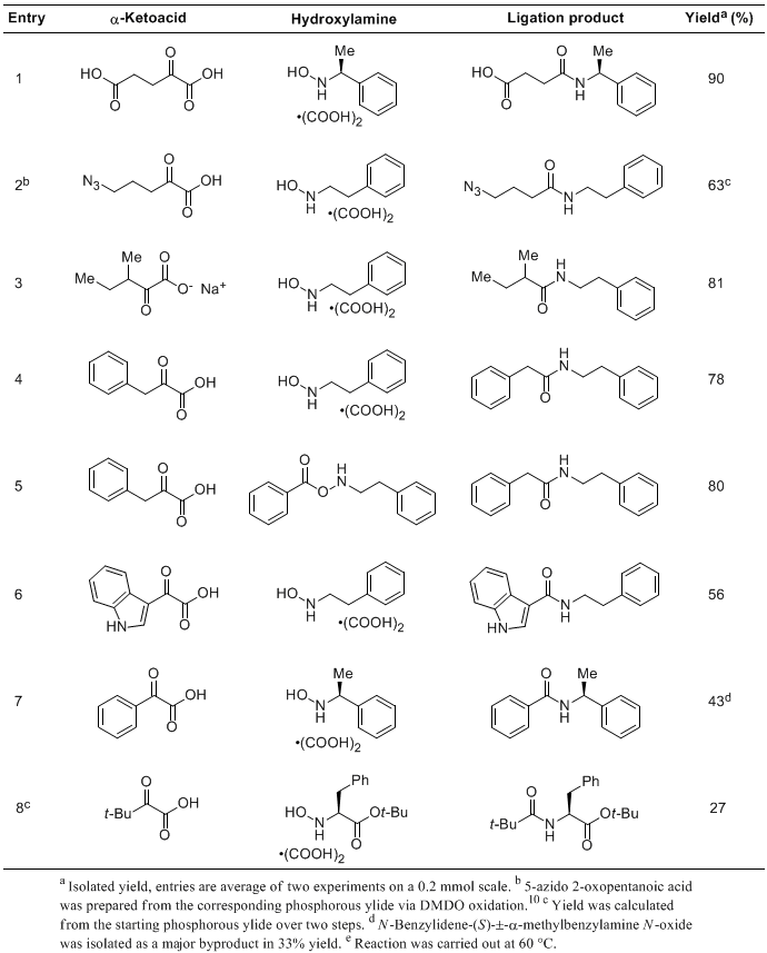 Table 1. Decarboxylative Condensation of α-Ketoacids and N-Alkyl Hydroxylamines