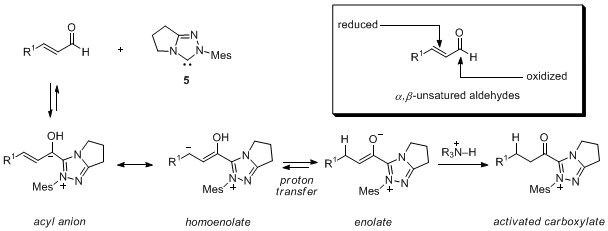 Scheme 1. Reactive pathways promoted by N-mesityl carbene 5 (Mes = 2,4,6-trimethylphenyl).