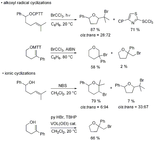 Figure 7. Examples showing complementary selectivity in bromocyclizations of alkenoxyl radicals (top) and alkenols (bottom: VOL(OEt) = 2-[(2-oxidophenyl)iminomethyl] (ethanolato) oxidovanadium(V); py·HBr = pyridinium hydrobromide; TBHP = tert-butylhydroperoxide}.,