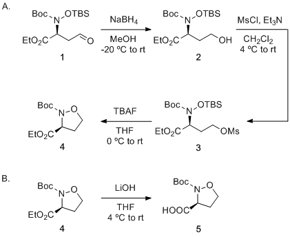 Organic Syntheses Procedure